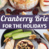 Cranberry baked brie with honey, walnuts, and rosemary with text describing the image.