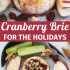 Cranberry baked brie with honey, walnuts, and rosemary with text describing the image.