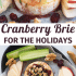Cranberry baked brie with honey, walnuts, and rosemary with text describing the image.