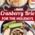 Cranberry baked brie with honey, walnuts, and rosemary with text describing the image.