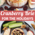 Cranberry baked brie with honey, walnuts, and rosemary with text describing the image.