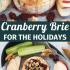 Cranberry baked brie with honey, walnuts, and rosemary with text describing the image.