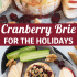 Cranberry baked brie with honey, walnuts, and rosemary with text describing the image.