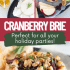 Cranberry baked brie with honey, walnuts, and rosemary with text describing the image.