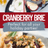 Cranberry baked brie with honey, walnuts, and rosemary with text describing the image.