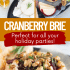 Cranberry baked brie with honey, walnuts, and rosemary with text describing the image.