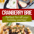 Cranberry baked brie with honey, walnuts, and rosemary with text describing the image.