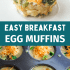Graphic image with text for tater tot crusted egg muffins.