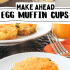 Graphic image with text for tater tot crusted egg muffins.