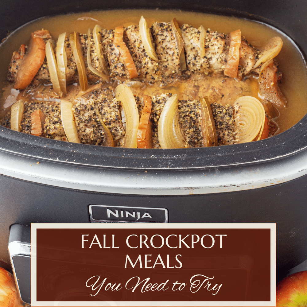 15 Cosy Slow Cooker Dinners for Busy Fall Nights