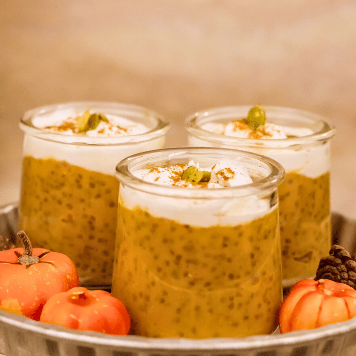 Pumpkin Pie Chia Seed Pudding Recipe