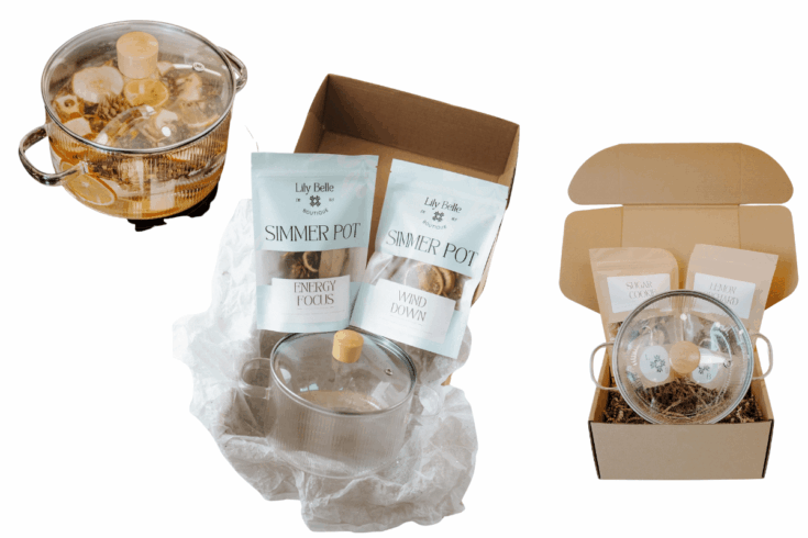 Image for Lily Belle Boutique’s Holiday Simmer Pots