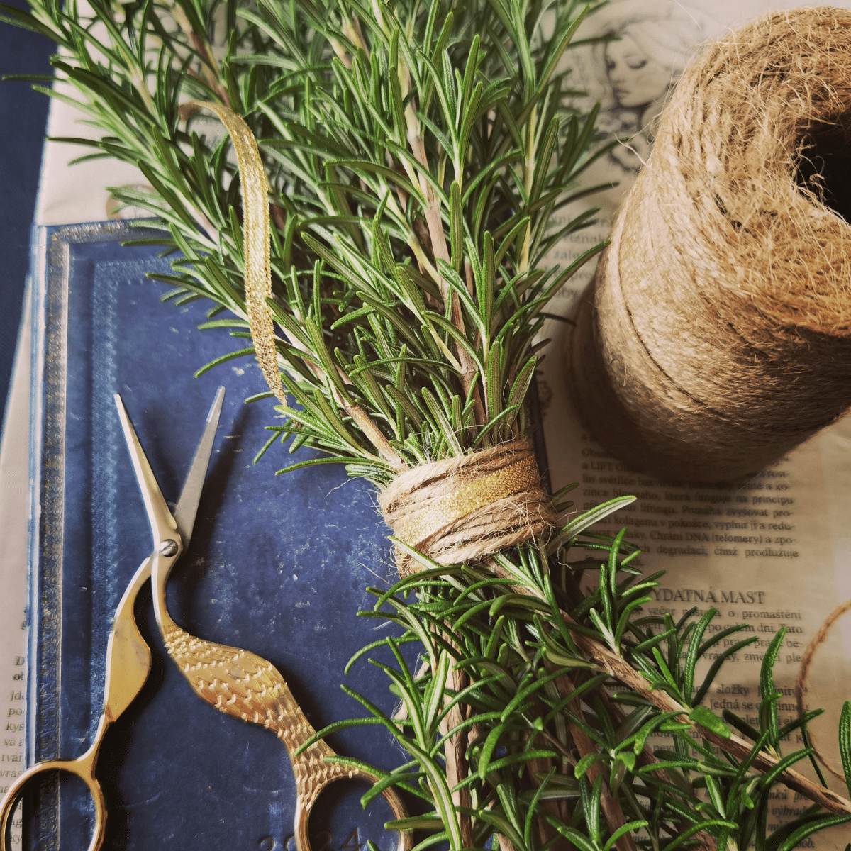 Practical Rosemary Essential Oil Uses for Everyday Wellness